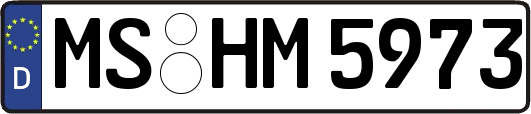 MS-HM5973