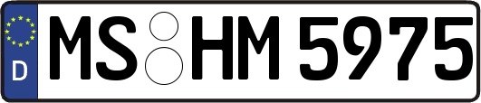MS-HM5975