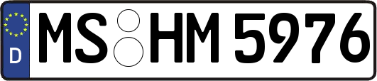 MS-HM5976
