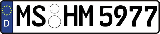 MS-HM5977