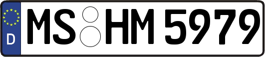 MS-HM5979