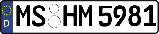 MS-HM5981