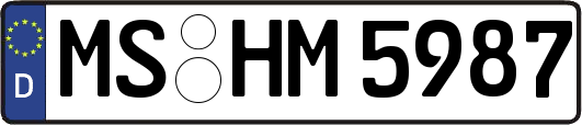 MS-HM5987