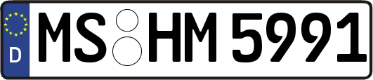 MS-HM5991