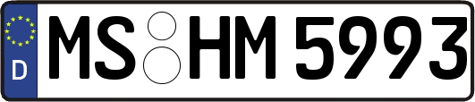MS-HM5993