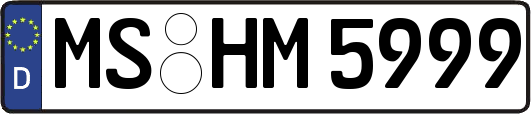 MS-HM5999