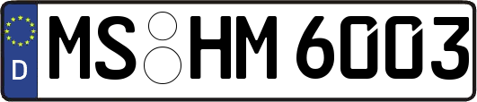 MS-HM6003