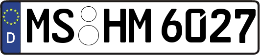 MS-HM6027