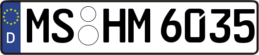 MS-HM6035