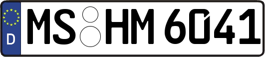 MS-HM6041
