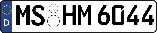 MS-HM6044