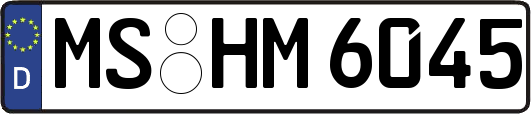 MS-HM6045