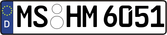 MS-HM6051