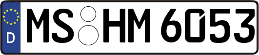 MS-HM6053