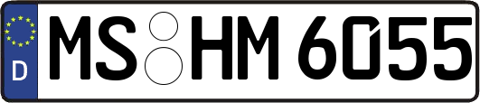 MS-HM6055