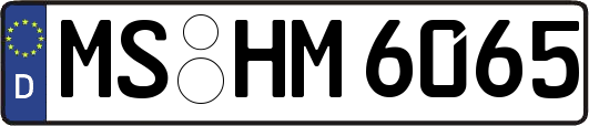 MS-HM6065