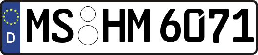 MS-HM6071