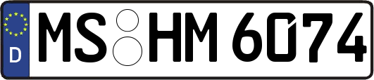 MS-HM6074