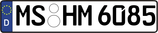 MS-HM6085