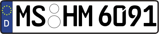MS-HM6091