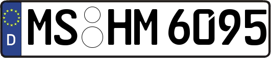 MS-HM6095