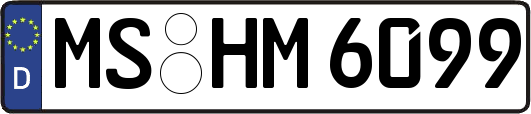 MS-HM6099