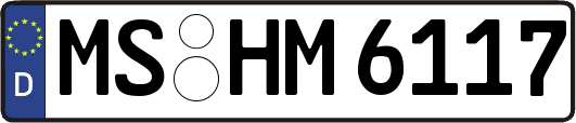 MS-HM6117
