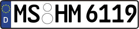 MS-HM6119