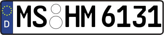 MS-HM6131