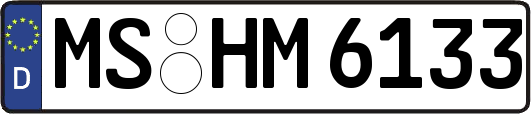 MS-HM6133