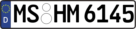 MS-HM6145