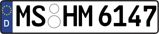 MS-HM6147