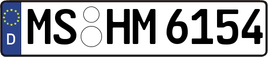 MS-HM6154