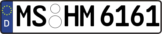 MS-HM6161