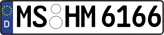 MS-HM6166