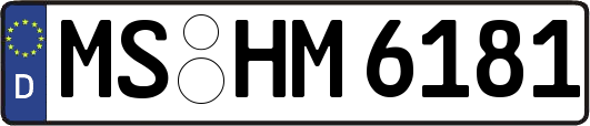 MS-HM6181