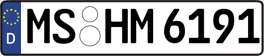 MS-HM6191