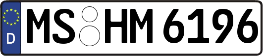 MS-HM6196