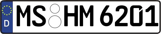 MS-HM6201
