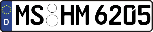 MS-HM6205