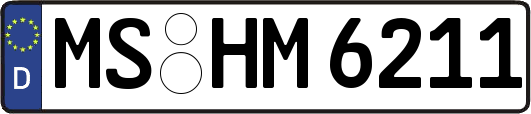MS-HM6211