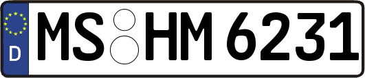 MS-HM6231