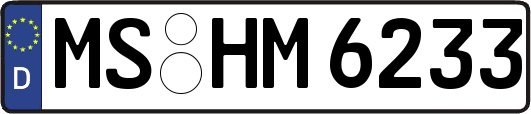 MS-HM6233