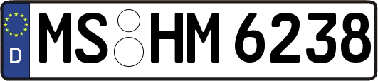 MS-HM6238