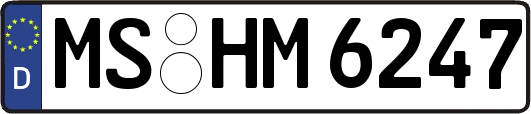 MS-HM6247