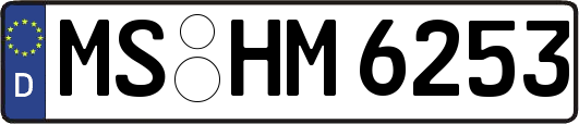 MS-HM6253