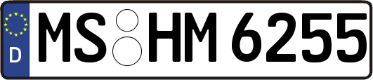 MS-HM6255