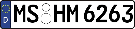 MS-HM6263