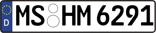 MS-HM6291