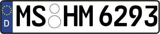 MS-HM6293